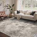 Area Rugs 8x10 for Living Room Bedroom, Modern Abstract Machine Washable Rug, Large Soft Low Pile Floor Carpet with Non Slip Backing for Dining Room, Grey